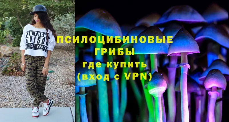 магазин продажи   Поронайск  Псилоцибиновые грибы MAGIC MUSHROOMS 